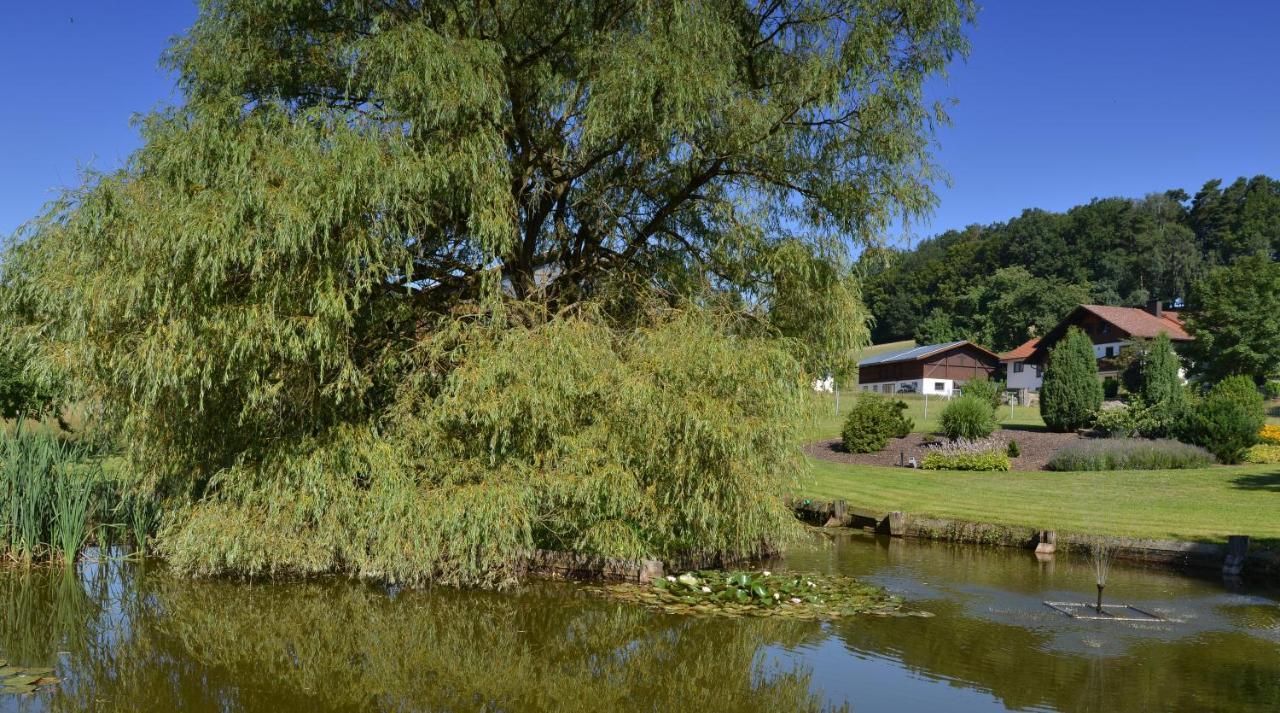 Gaestehaus Wildgehege Wilhelm Exteriör bild